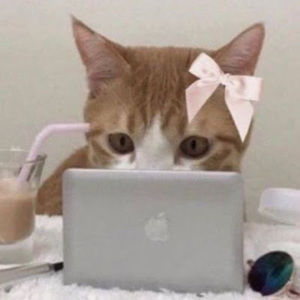 Meet your Posher, Rosa